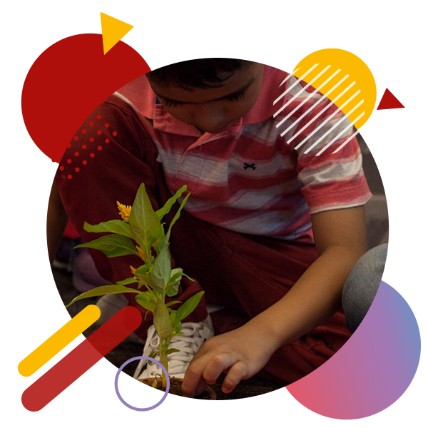 Oficina de Plantio AmoBrincá